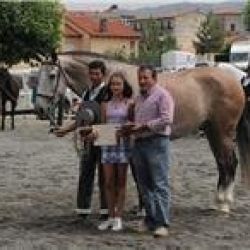 concurso caballos zamora 2011