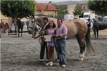 concurso caballos zamora 2011